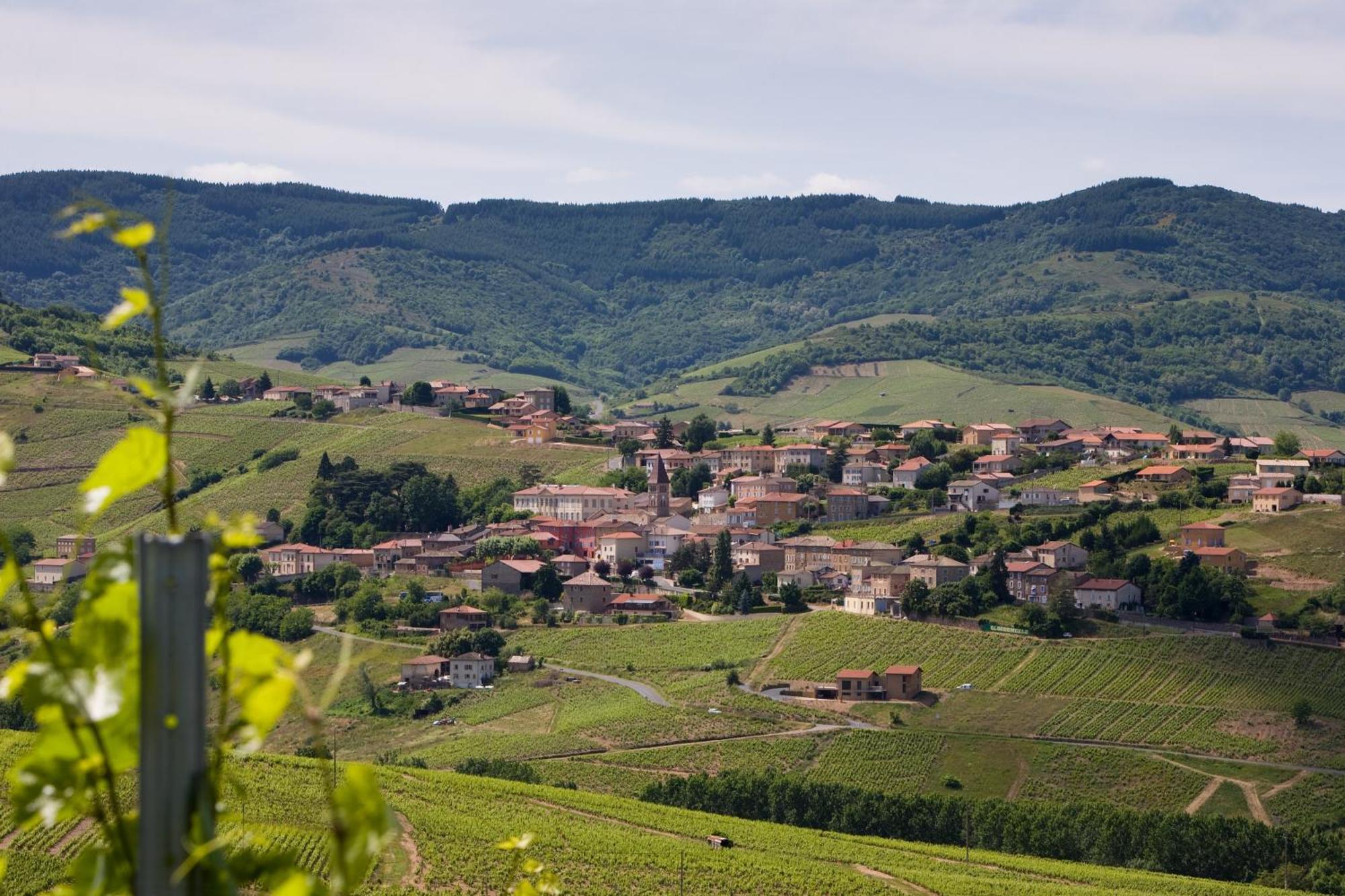 Auberge De Clochemerle, Spa Privatif & Restaurant Gastronomique Vaux-en-Beaujolais 외부 사진